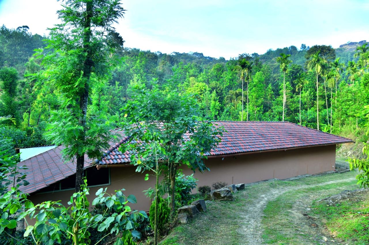 Homestay exterior surrounded by forest